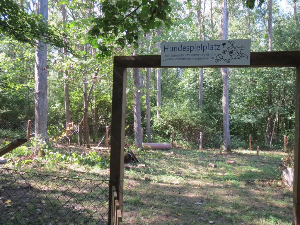 Mueritzparadies - Feriendorf Alte Fahrt Rechlin Dış mekan fotoğraf