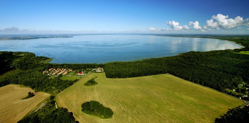 Mueritzparadies - Feriendorf Alte Fahrt Rechlin Dış mekan fotoğraf