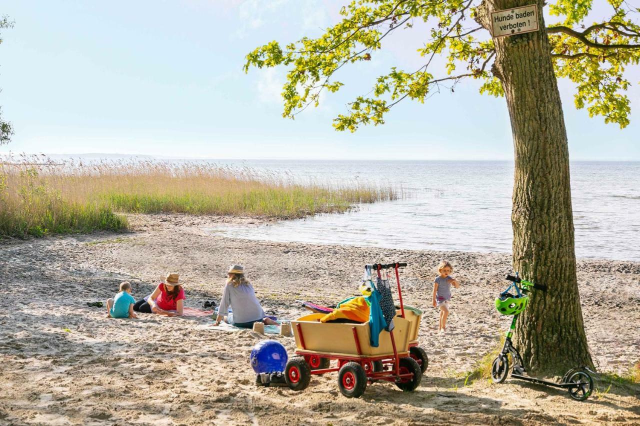 Mueritzparadies - Feriendorf Alte Fahrt Rechlin Dış mekan fotoğraf