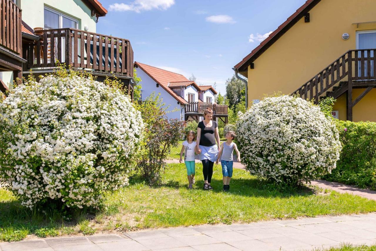 Mueritzparadies - Feriendorf Alte Fahrt Rechlin Dış mekan fotoğraf